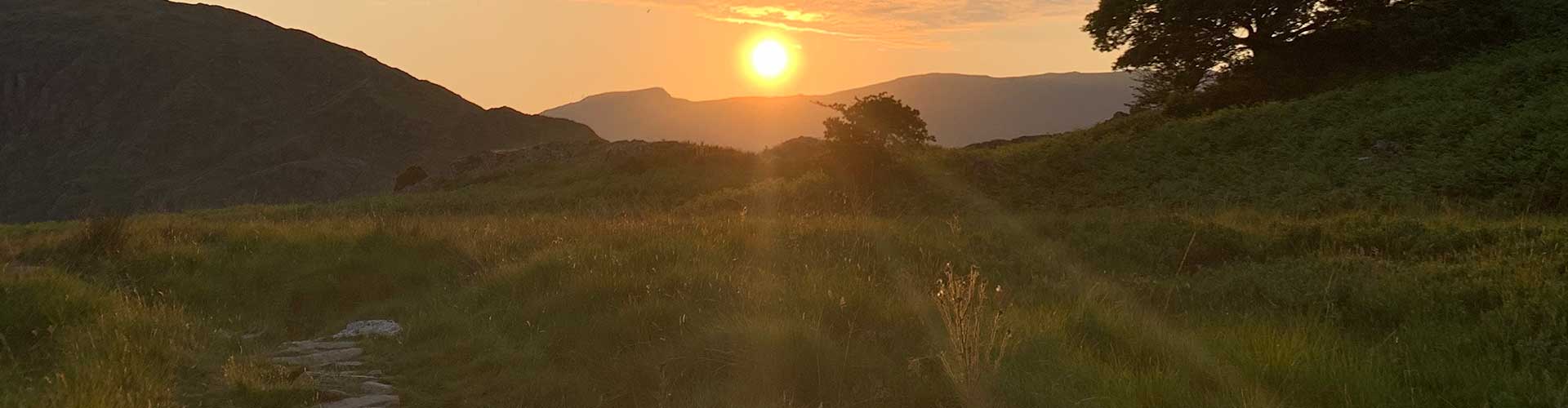 SianElls_About_Hero_02