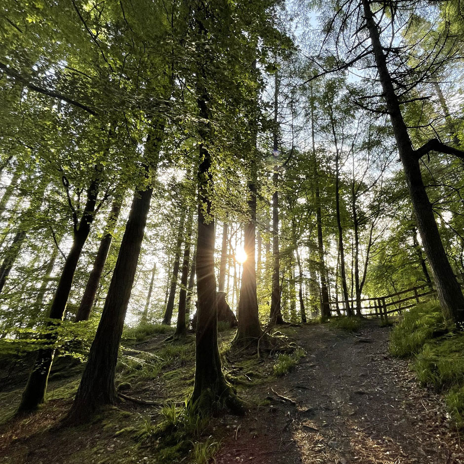 SianElls_About_Why_03