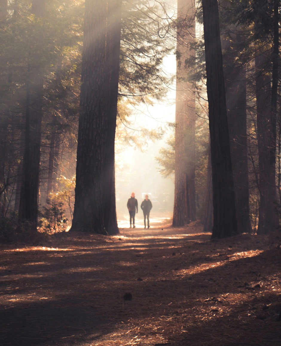 SianElls_About_Why_04