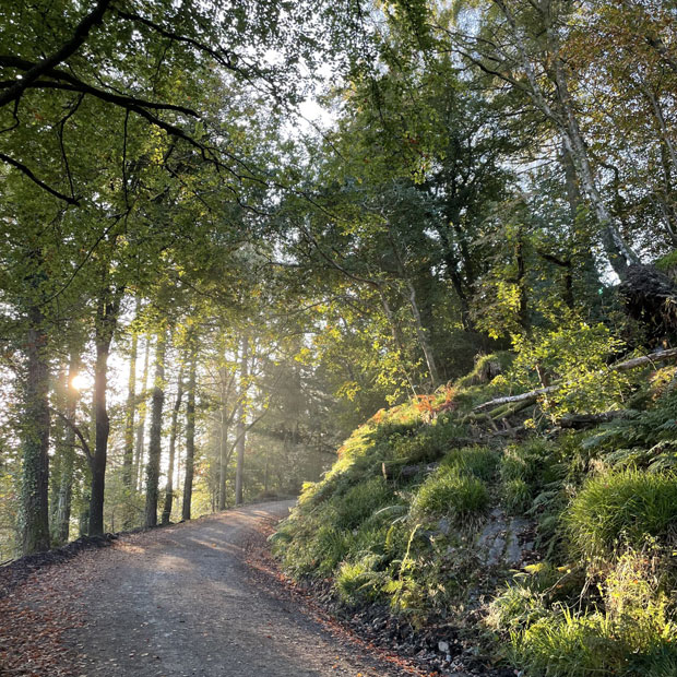SianElls_Locations_Gwydir_Forest_01
